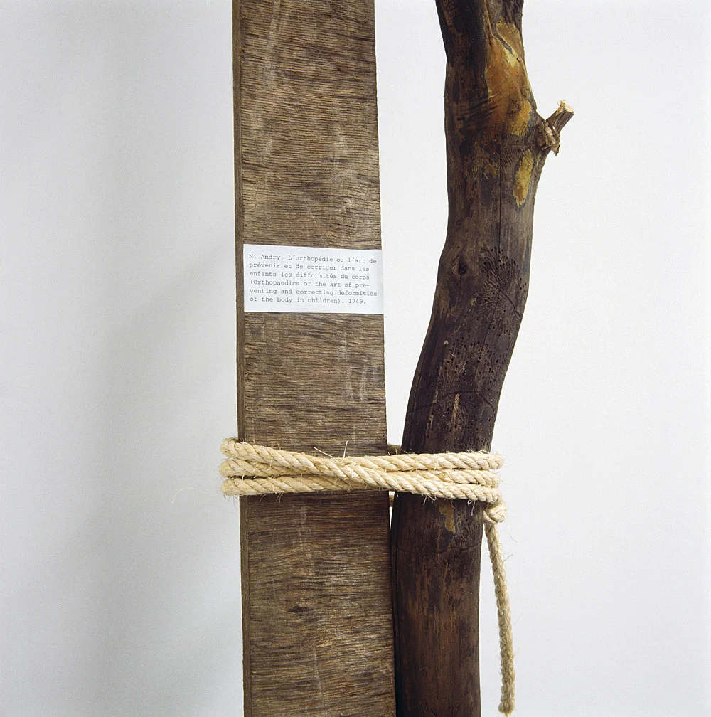 Sexuelle Zwischenstadien Einführung in die Theorie der Homosexualität — Henrik Olesen — Exhibitions — Galerie Buchholz — Image 00