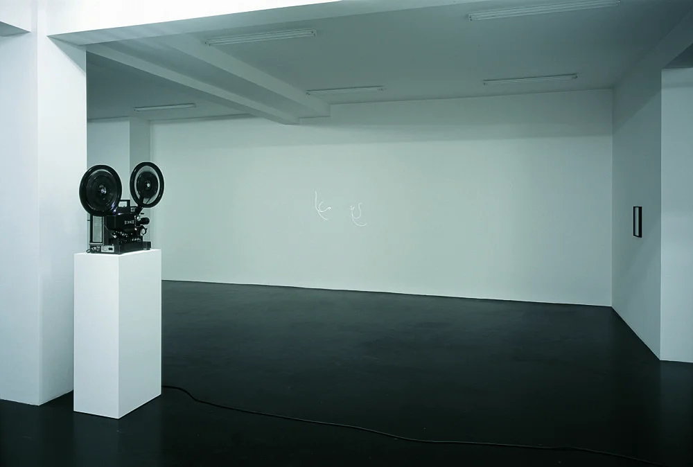 Pumhösl 2007 — Florian Pumhösl — Exhibitions — Galerie Buchholz — Image 00