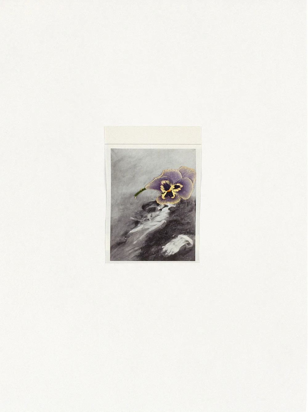 Frances Stark 2000 — Frances Stark — Exhibitions — Galerie Buchholz — Image 14