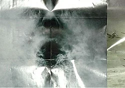 Könnemann 2006 — Nina Könnemann — Exhibitions — Galerie Buchholz — Image 26