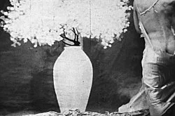 Re-Framing Creatures — Tony Conrad — Exhibitions — Galerie Buchholz — Image 28