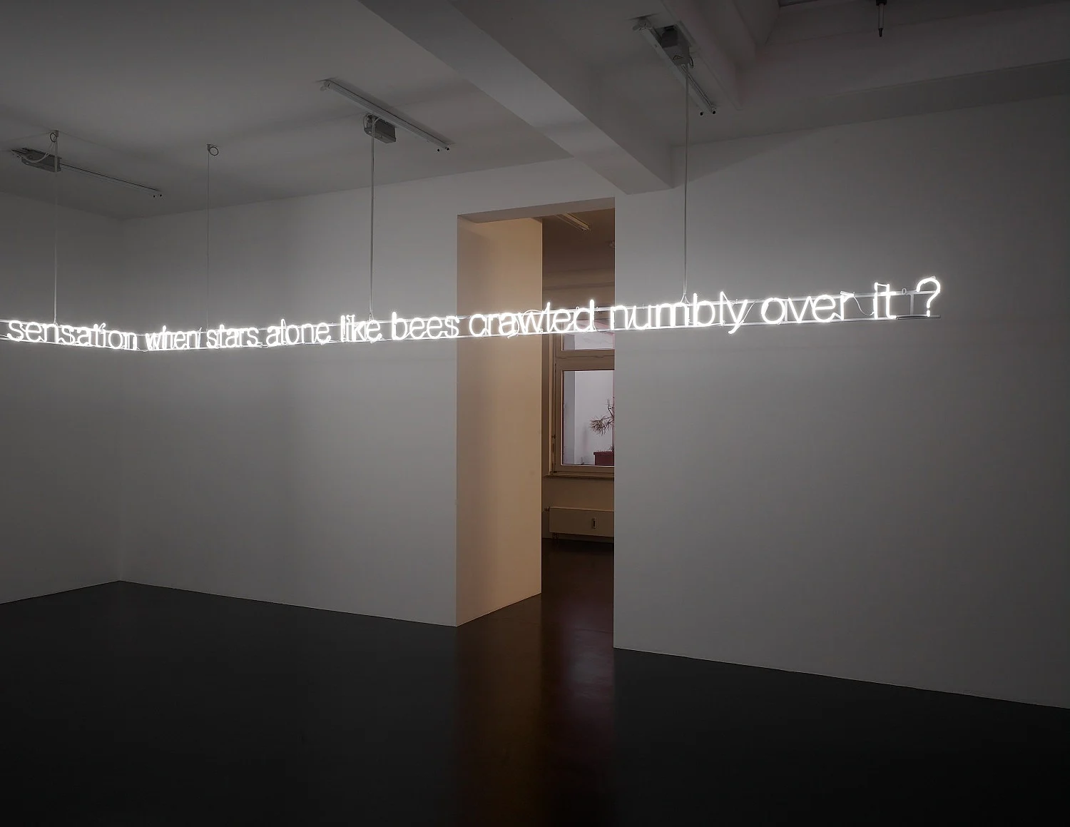 Permit yourself — Cerith Wyn Evans — Exhibitions — Galerie Buchholz — Image 21