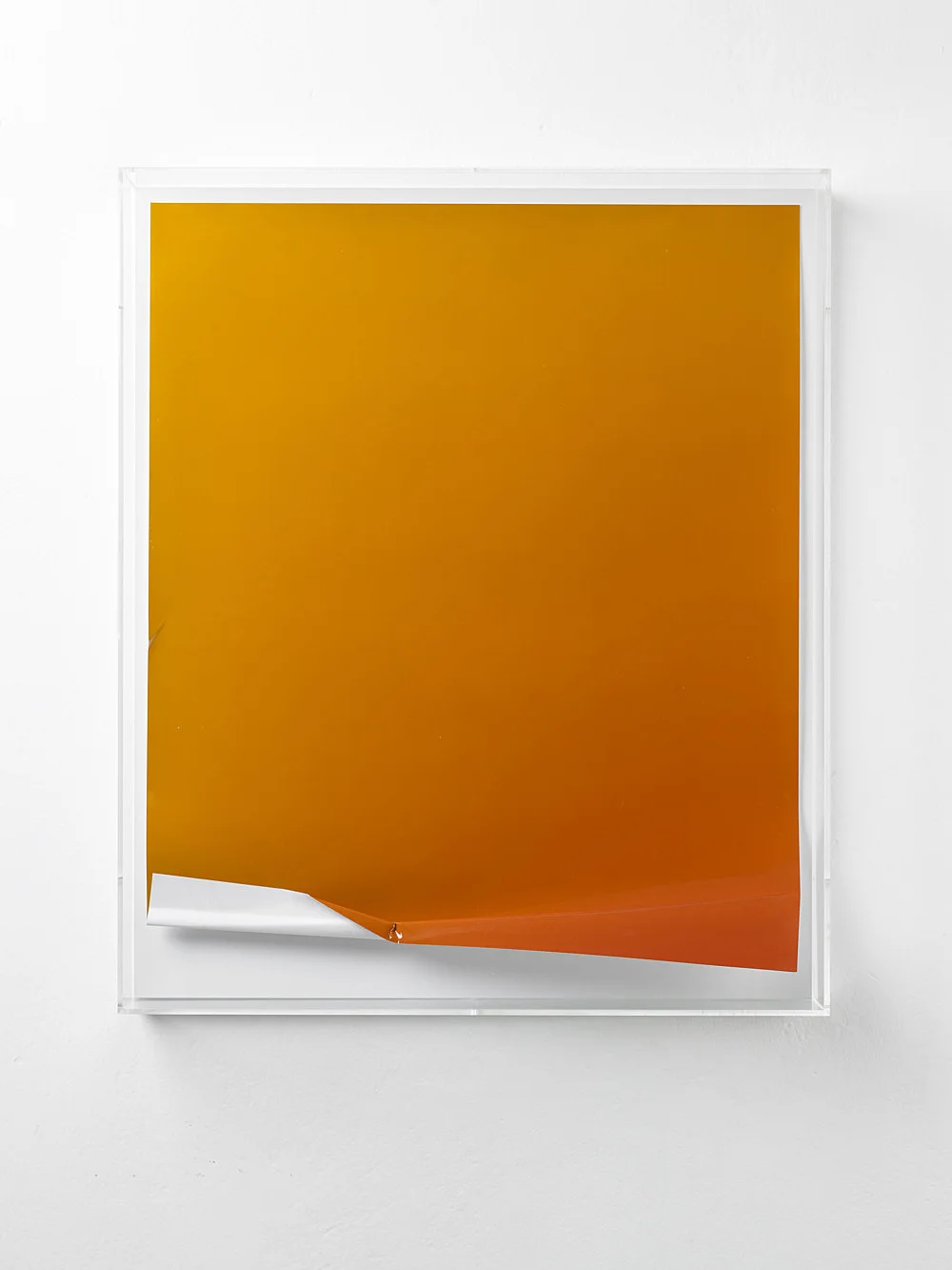Wolfgang Tillmans Berlin 2010 — Wolfgang Tillmans — Exhibitions — Galerie Buchholz — Image 16