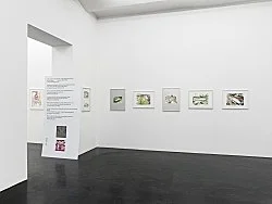 John Kelsey Köln 2013 — John Kelsey — Exhibitions — Galerie Buchholz — Image 77