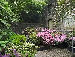 Lartiste et le décorateur — Danh Vo — Exhibitions — Galerie Buchholz — Image 45