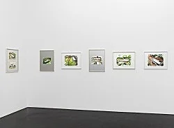 John Kelsey Köln 2013 — John Kelsey — Exhibitions — Galerie Buchholz — Image 78