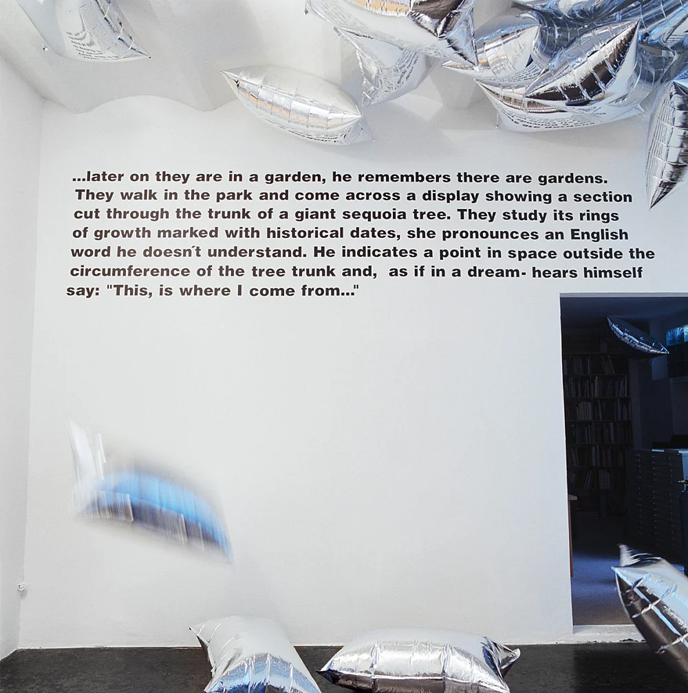 Cerith Wyn Evans 2001 — Cerith Wyn Evans — Exhibitions — Galerie Buchholz — Image 05