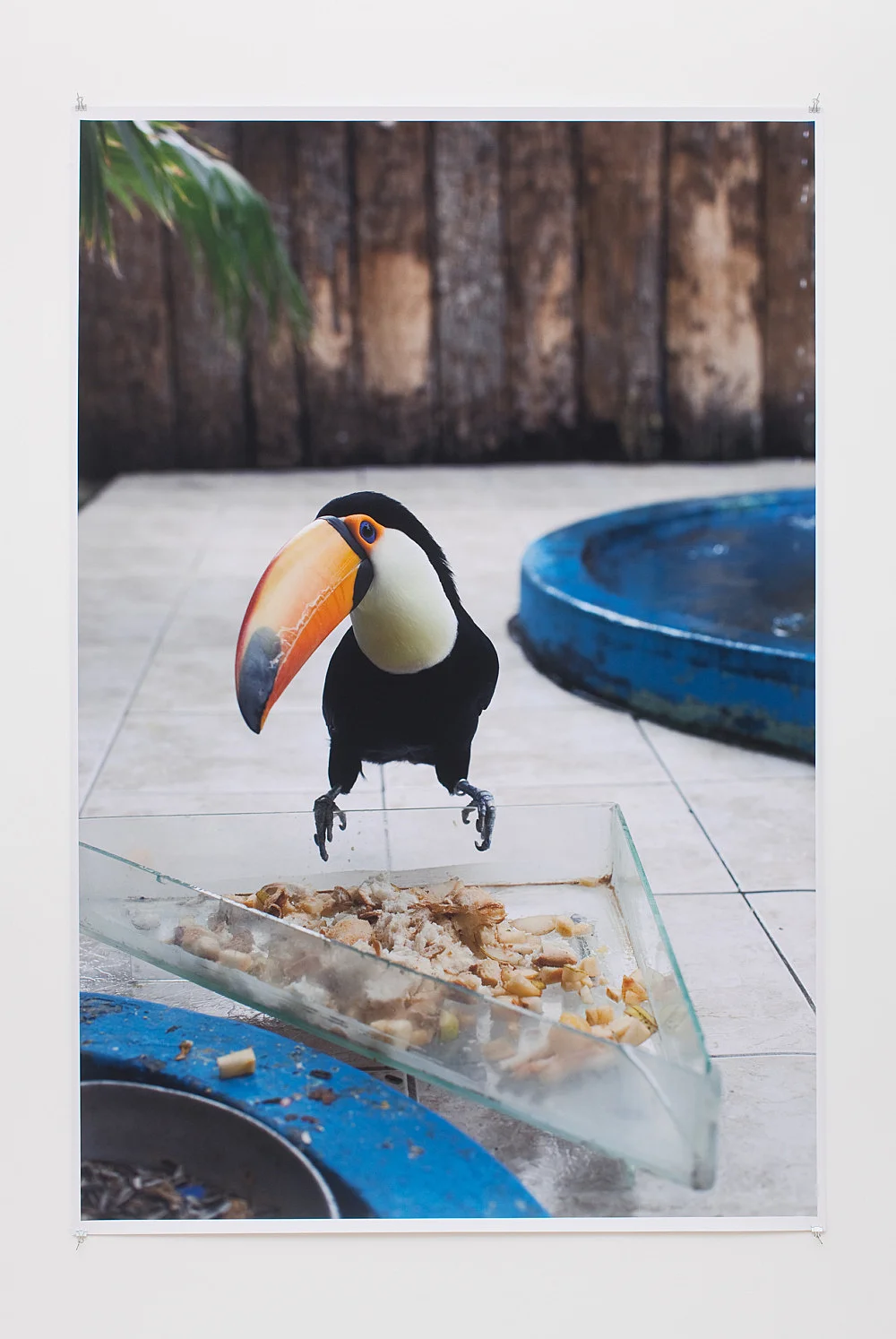 Wolfgang Tillmans Berlin 2010 — Wolfgang Tillmans — Exhibitions — Galerie Buchholz — Image 35