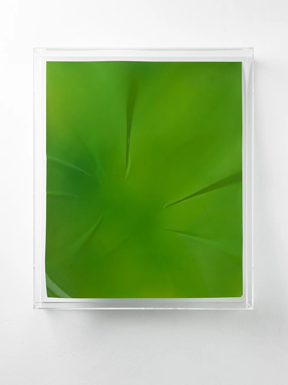 Wolfgang Tillmans Berlin 2010 — Wolfgang Tillmans — Exhibitions — Galerie Buchholz — Image 36