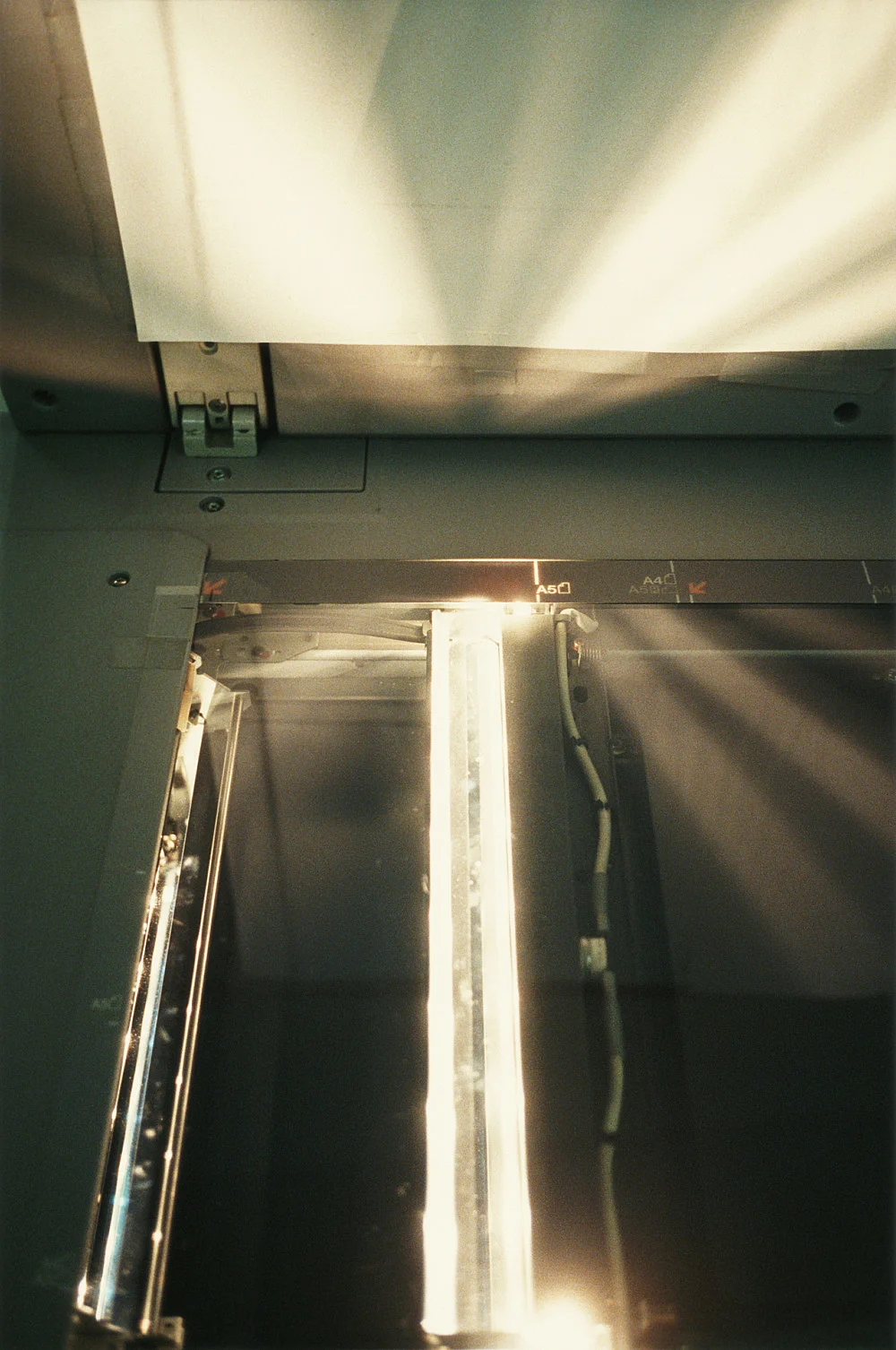Wolfgang Tillmans Berlin 2010 — Wolfgang Tillmans — Exhibitions — Galerie Buchholz — Image 42