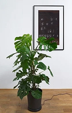 Dérive — Cerith Wyn Evans — Exhibitions — Galerie Buchholz — Image 15