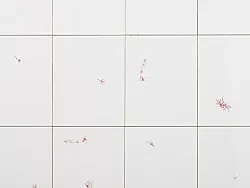 Lartiste et le décorateur — Danh Vo — Exhibitions — Galerie Buchholz — Image 28