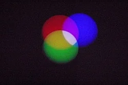 Color Balance Photogenic Drawings — Morgan Fisher — Exhibitions — Galerie Buchholz — Image 17