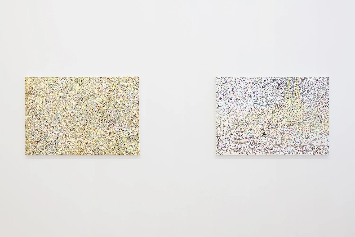 Spaulings Berlin 2010 — Reena Spaulings — Exhibitions — Galerie Buchholz — Image 06