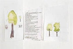 Frances Stark 2000 — Frances Stark — Exhibitions — Galerie Buchholz — Image 19