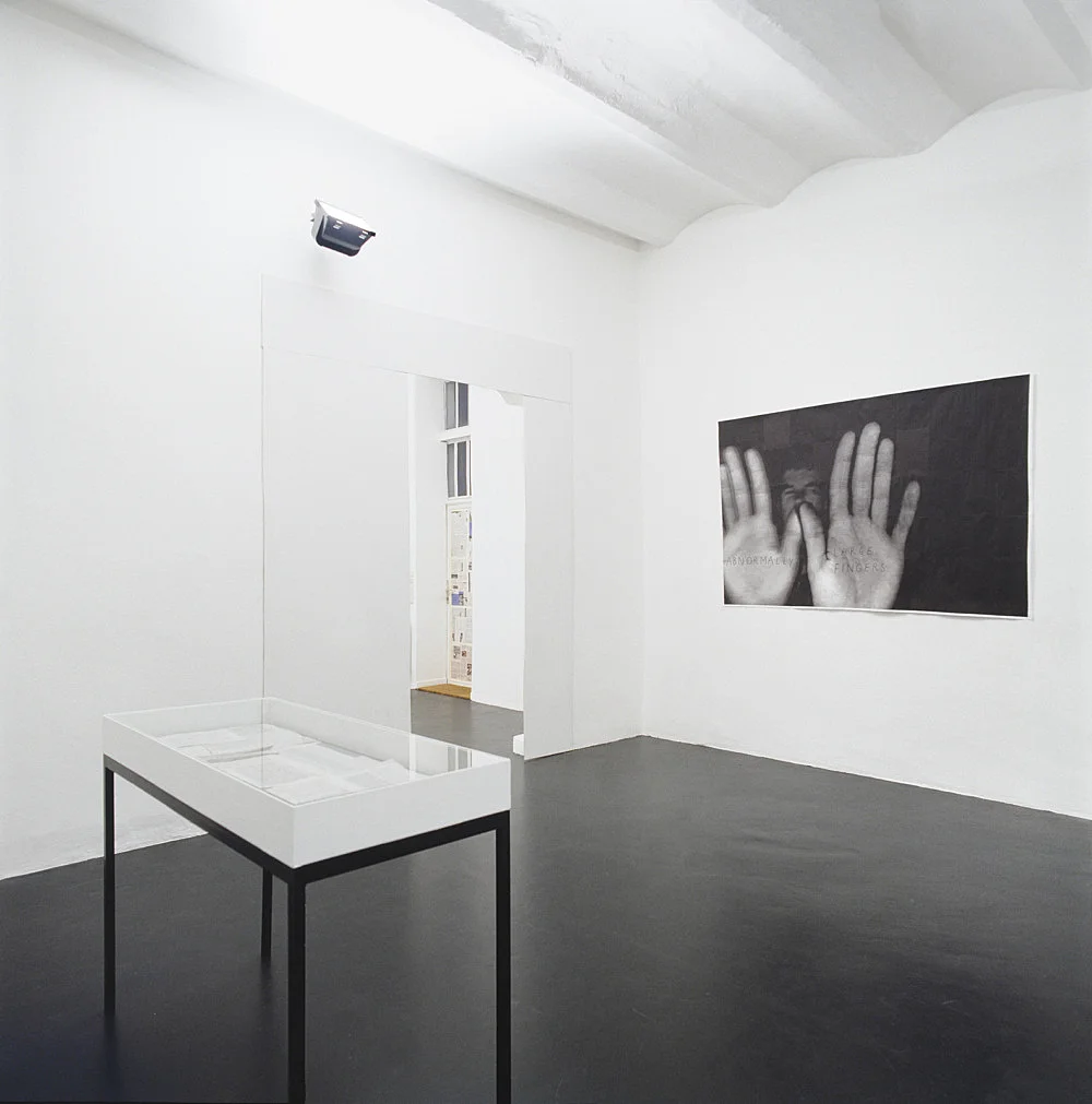 Sexuelle Zwischenstadien Einführung in die Theorie der Homosexualität — Henrik Olesen — Exhibitions — Galerie Buchholz — Image 08