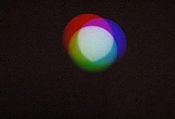 Color Balance Photogenic Drawings — Morgan Fisher — Exhibitions — Galerie Buchholz — Image 19