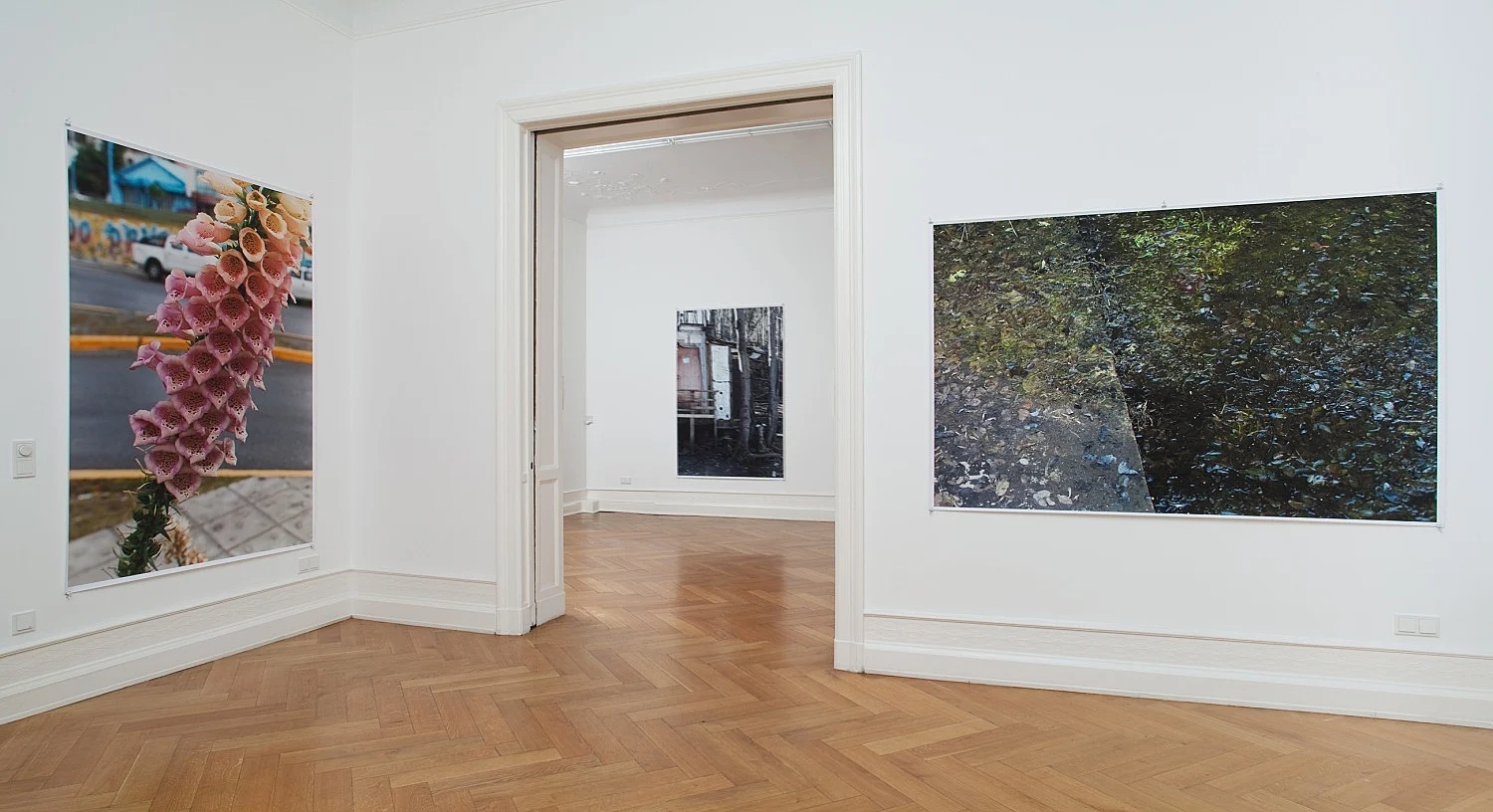 Wolfgang Tillmans Berlin 2010 — Wolfgang Tillmans — Exhibitions — Galerie Buchholz — Image 09
