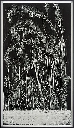 Thater 2005 — Stefan Thater — Exhibitions — Galerie Buchholz — Image 20