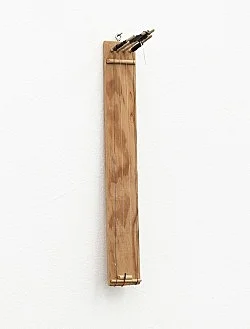 Invented Acoustical Tools Instruments 19662012 — Tony Conrad — Exhibitions — Galerie Buchholz — Image 81