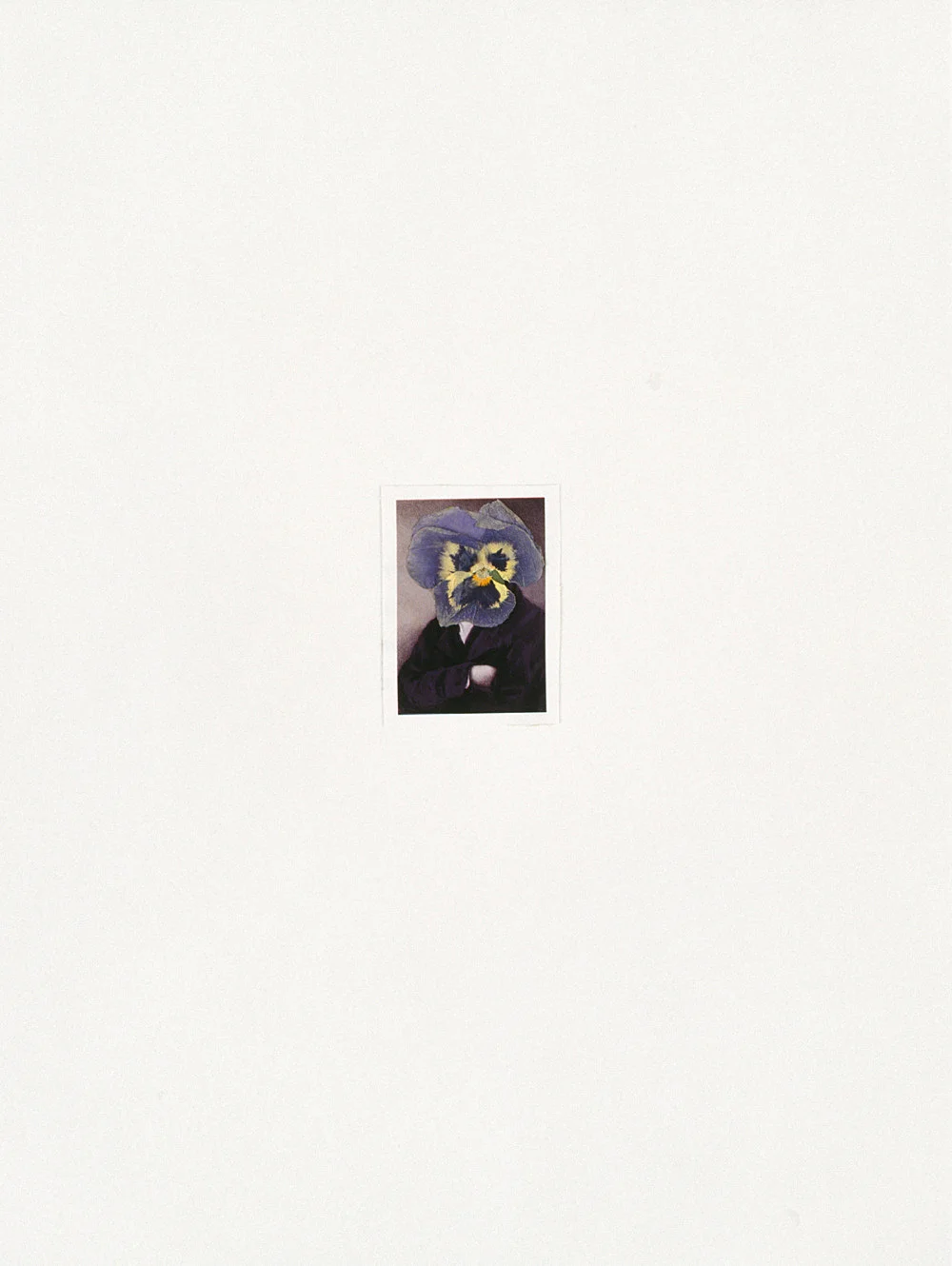 Frances Stark 2000 — Frances Stark — Exhibitions — Galerie Buchholz — Image 10