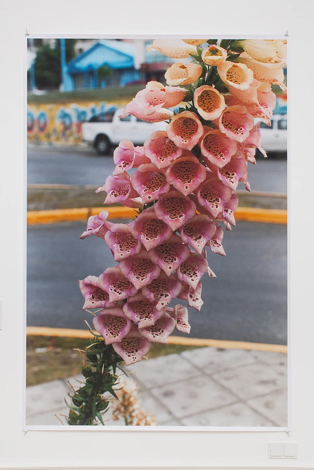 Wolfgang Tillmans Berlin 2010 — Wolfgang Tillmans — Exhibitions — Galerie Buchholz — Image 10