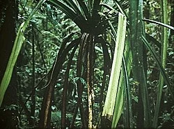 Crystal Palace — Mathias Poledna — Exhibitions — Galerie Buchholz — Image 21