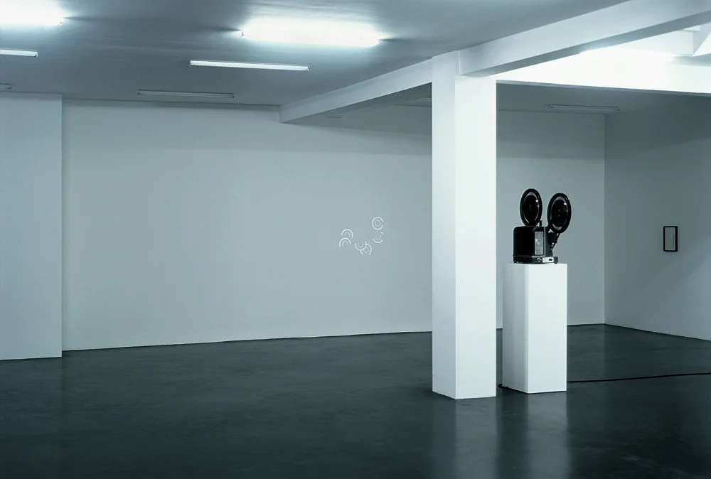 Pumhösl 2007 — Florian Pumhösl — Exhibitions — Galerie Buchholz — Image 00