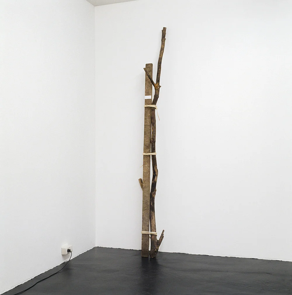 Sexuelle Zwischenstadien Einführung in die Theorie der Homosexualität — Henrik Olesen — Exhibitions — Galerie Buchholz — Image 00