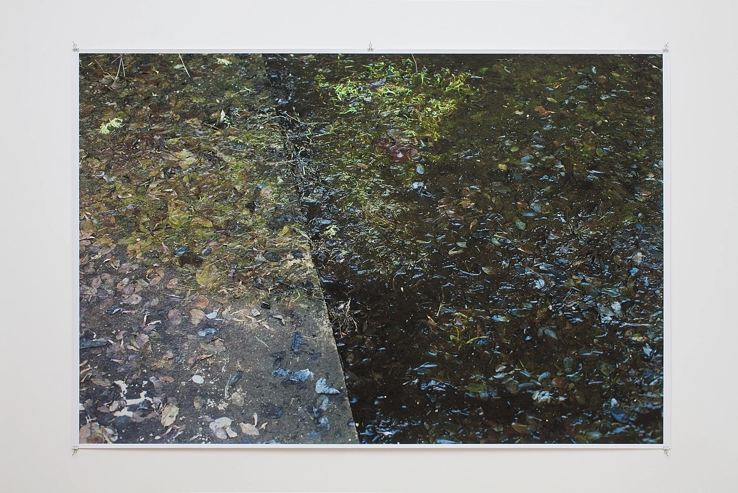 Wolfgang Tillmans Berlin 2010 — Wolfgang Tillmans — Exhibitions — Galerie Buchholz — Image 12
