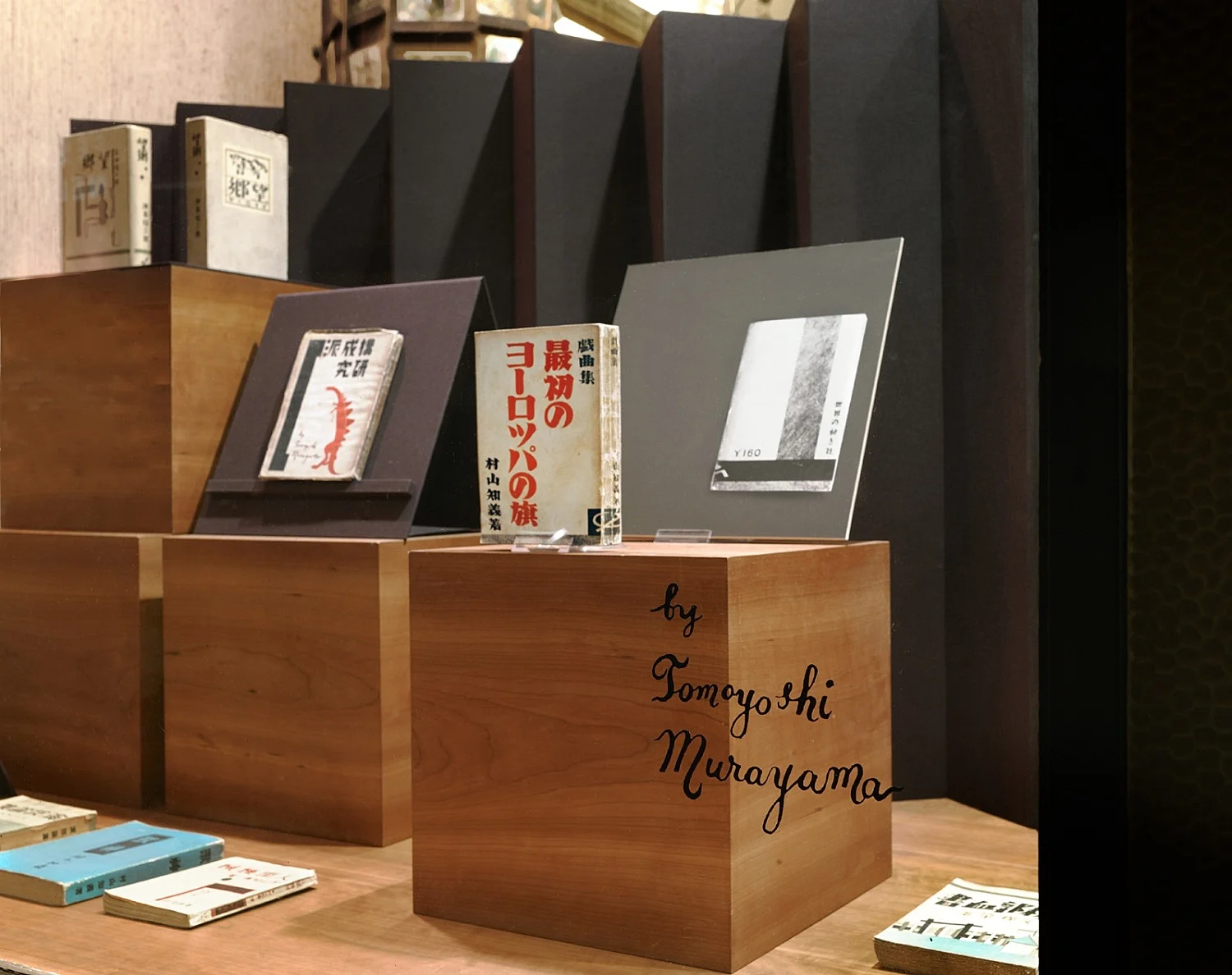 BuchentwrfebersetzungenIllustrierteBcherSchaufensterzusammengestelltvonFlorianPumhsl — Murayama Tomoyoshi — Exhibitions — Galerie Buchholz — Image 05