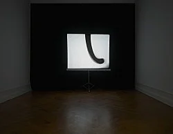 and possibly but not certainly Mark Leckey and Frances Stark — Mark Leckey Frances Stark — Exhibitions — Galerie Buchholz — Image 33