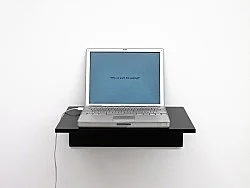 and possibly but not certainly Mark Leckey and Frances Stark — Mark Leckey Frances Stark — Exhibitions — Galerie Buchholz — Image 53