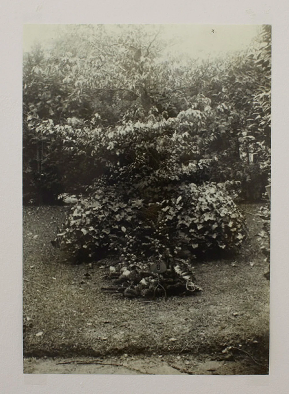 zusammengestelltvonHenrikOlesenampDanielBuchholz — Bücher, Manuskripte und Briefe von Herman Bang 1857-1912 — Exhibitions — Galerie Buchholz — Image 28