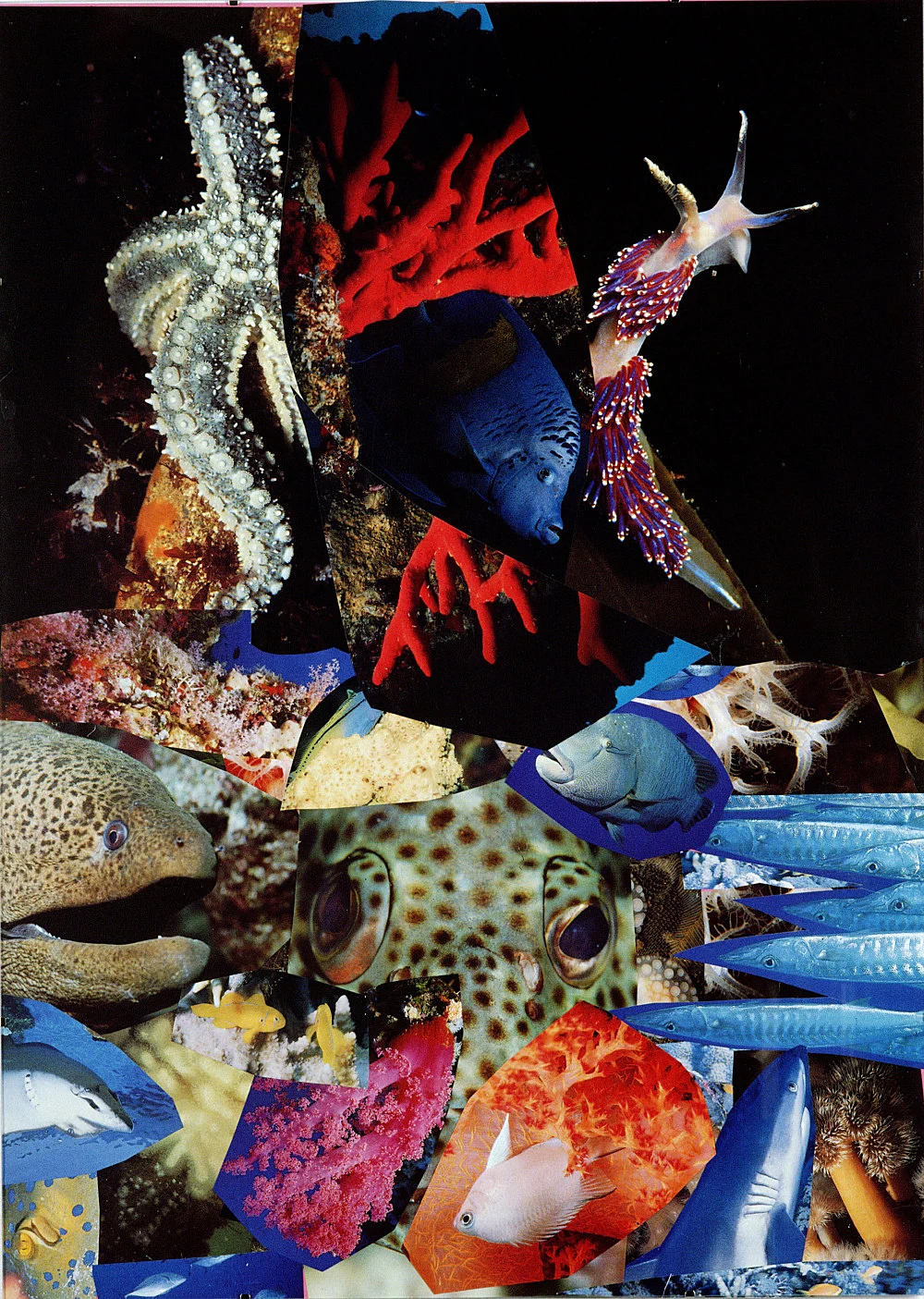 Isa Genzken 2001 — Isa Genzken — Exhibitions — Galerie Buchholz — Image 08