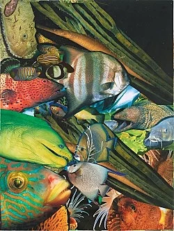 Isa Genzken 2001 — Isa Genzken — Exhibitions — Galerie Buchholz — Image 27