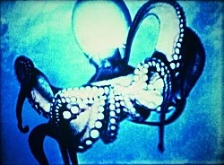 Under Water Sea Fantasy — Jack Goldstein — Exhibitions — Galerie Buchholz — Image 09