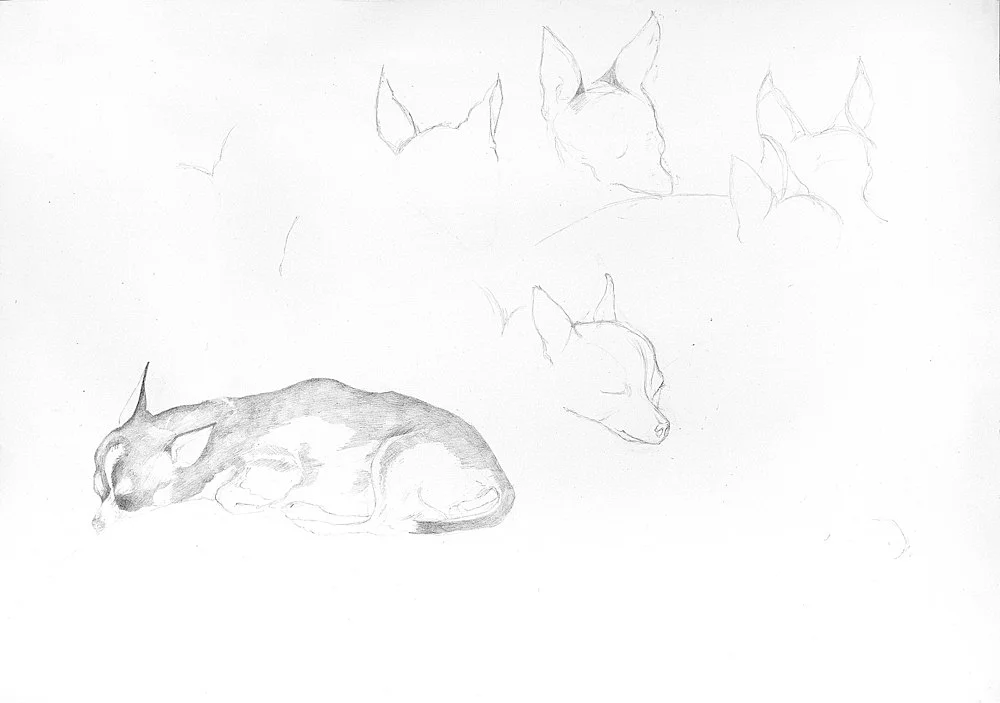 8220AllallmeinHitliryouna3se8221 — Katharina Wulff — Exhibitions — Galerie Buchholz — Image 00