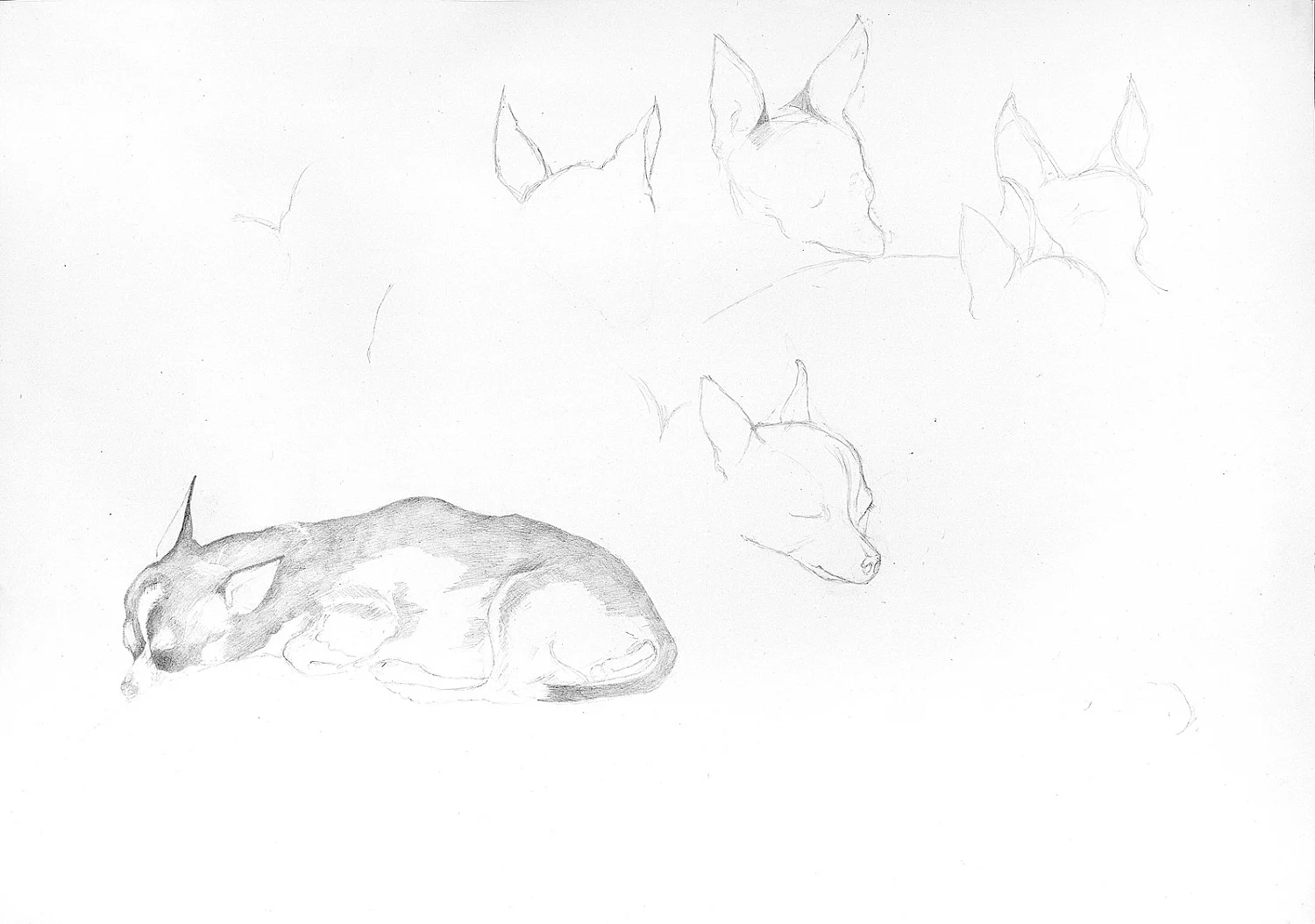 8220AllallmeinHitliryouna3se8221 — Katharina Wulff — Exhibitions — Galerie Buchholz — Image 07