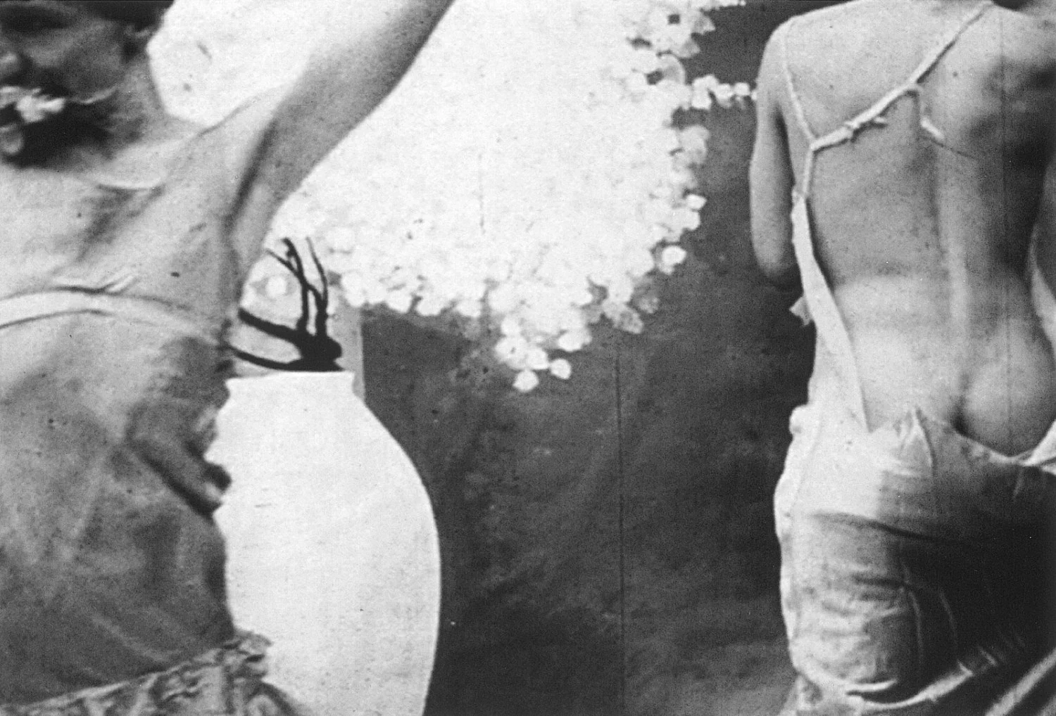 Re-Framing Creatures — Tony Conrad — Exhibitions — Galerie Buchholz — Image 01