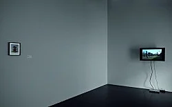 DEAD or ALIVE — Mark Leckey — Exhibitions — Galerie Buchholz — Image 33