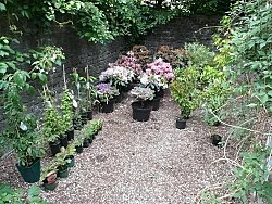 Quodlibet II — Tomma Abts, Tony Conrad, Mark Leckey, Patrick Procktor, Vincent Fecteau, Marcus Behmer, Alice Horodisch-Garnman,... — Exhibitions — Galerie Buchholz — Image 92