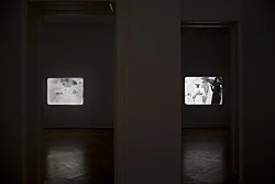 Re-Framing Creatures — Tony Conrad — Exhibitions — Galerie Buchholz — Image 19