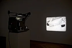 Re-Framing Creatures — Tony Conrad — Exhibitions — Galerie Buchholz — Image 24