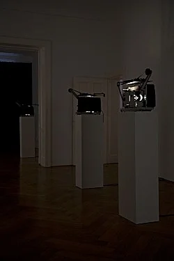 Re-Framing Creatures — Tony Conrad — Exhibitions — Galerie Buchholz — Image 26