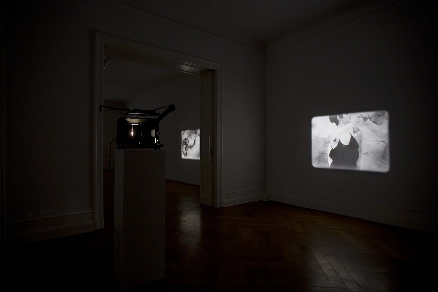 Re-Framing Creatures — Tony Conrad — Exhibitions — Galerie Buchholz — Image 12