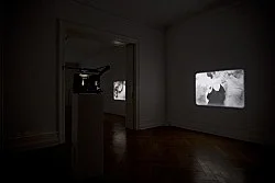 Re-Framing Creatures — Tony Conrad — Exhibitions — Galerie Buchholz — Image 27