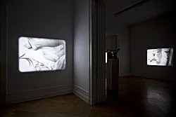 Re-Framing Creatures — Tony Conrad — Exhibitions — Galerie Buchholz — Image 32