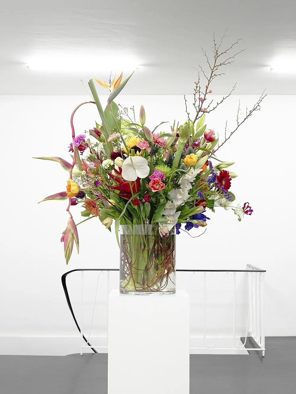 8220SlitorGloved8221 — Willem de Rooij — Exhibitions — Galerie Buchholz — Image 06