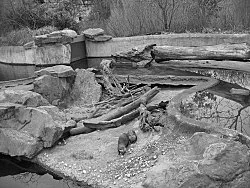 Quodlibet II — Tomma Abts, Tony Conrad, Mark Leckey, Patrick Procktor, Vincent Fecteau, Marcus Behmer, Alice Horodisch-Garnman,... — Exhibitions — Galerie Buchholz — Image 115